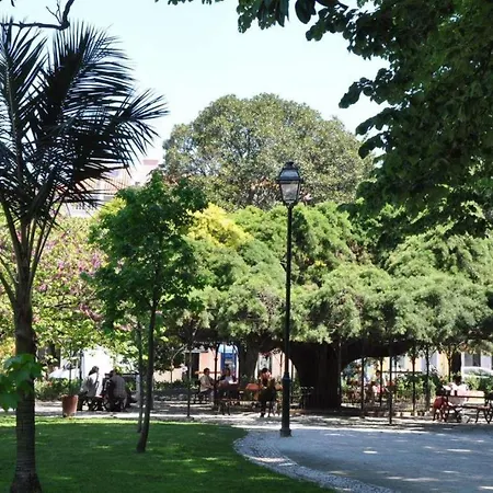 Bl Bairro Alto Famous Bica Funicular Street View * ליסבון