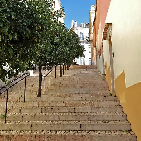 Апартаменты Bl Bairro Alto Famous Bica Funicular Street View Лиссабон